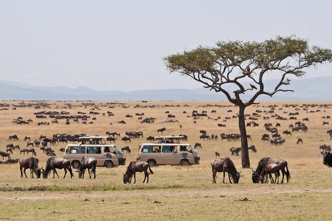 Maasai Mara