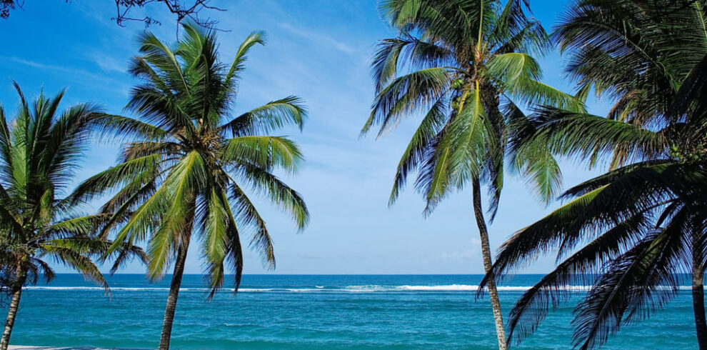 Beach with palms in Kenya, Tiwi beach.