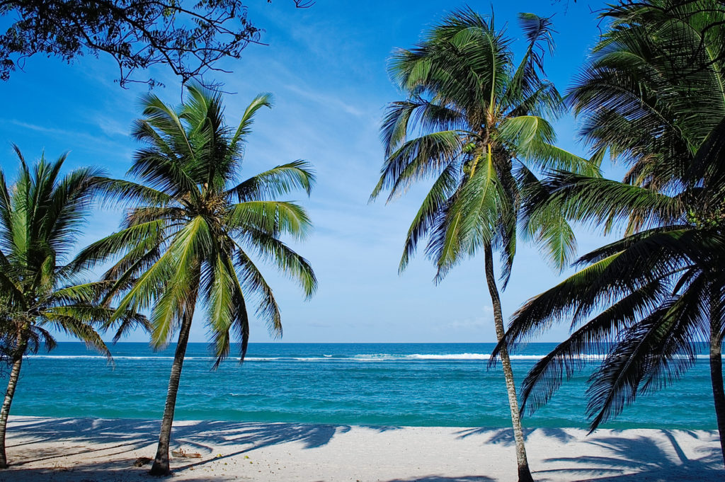 Beach with palms in Kenya, Tiwi beach.
