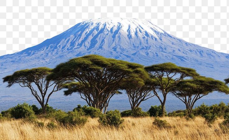 kilimanjaro