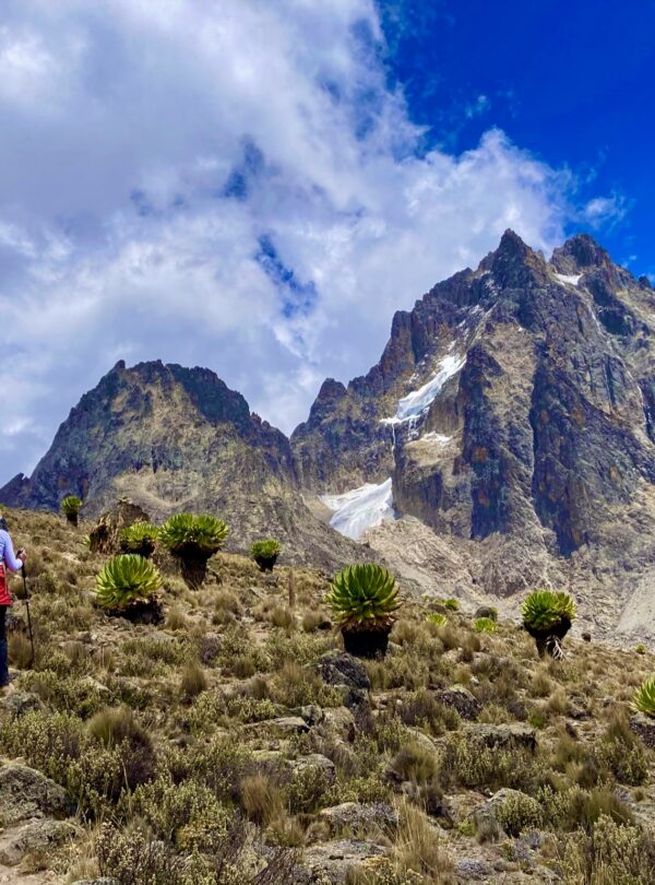 Mt. Kenya hiking